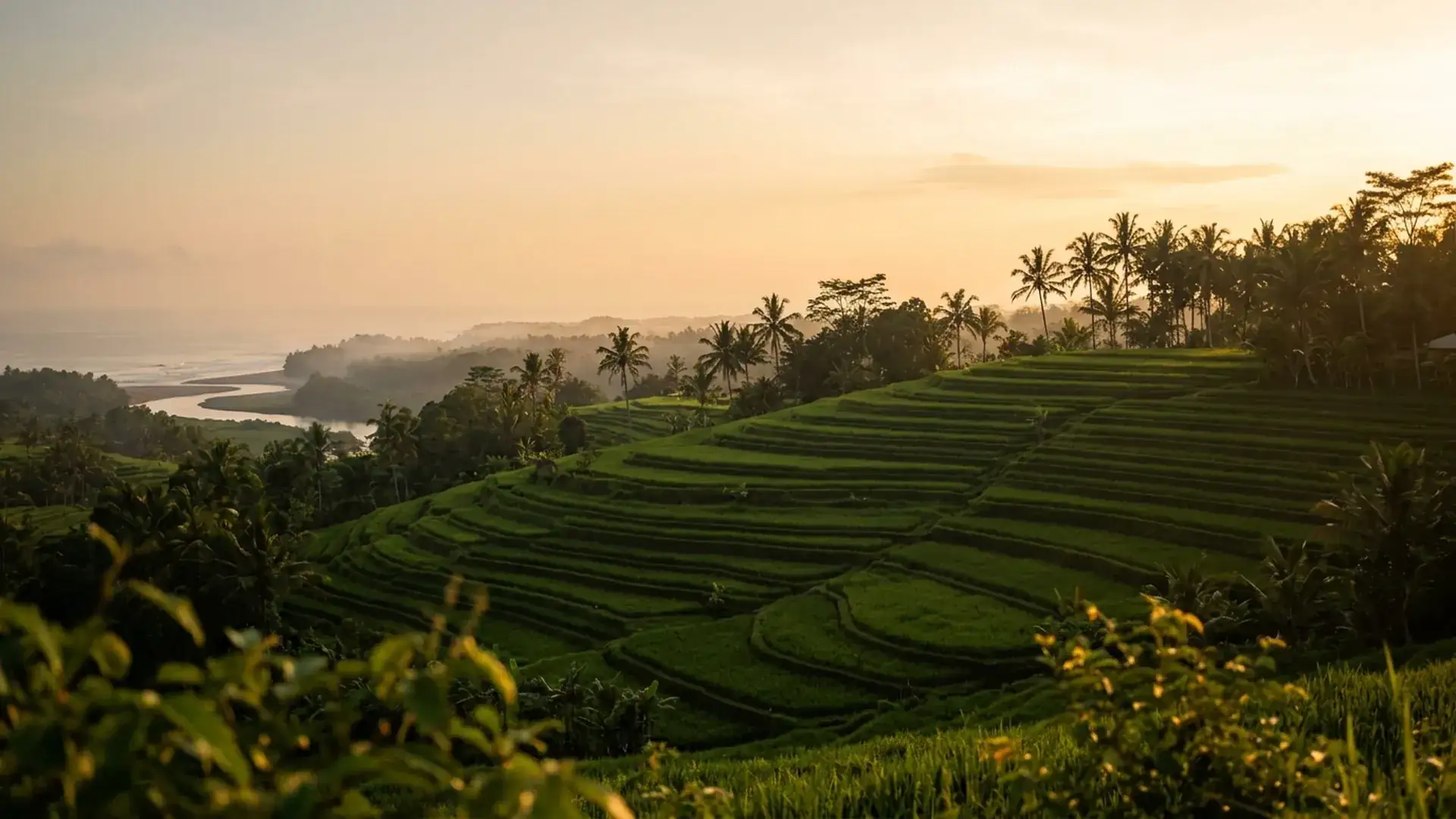 Wedding in Bali or Thailand