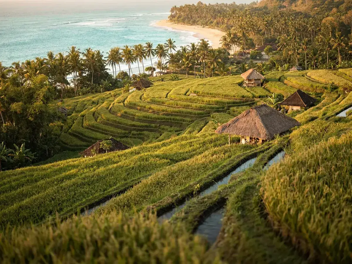 Wedding in Bali, Thailand or the Maldives — gid karta rajon