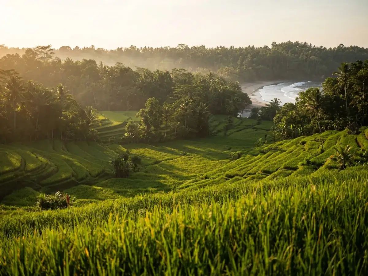 Wedding in Bali, Thailand or the Maldives — rekomendaciya stoit