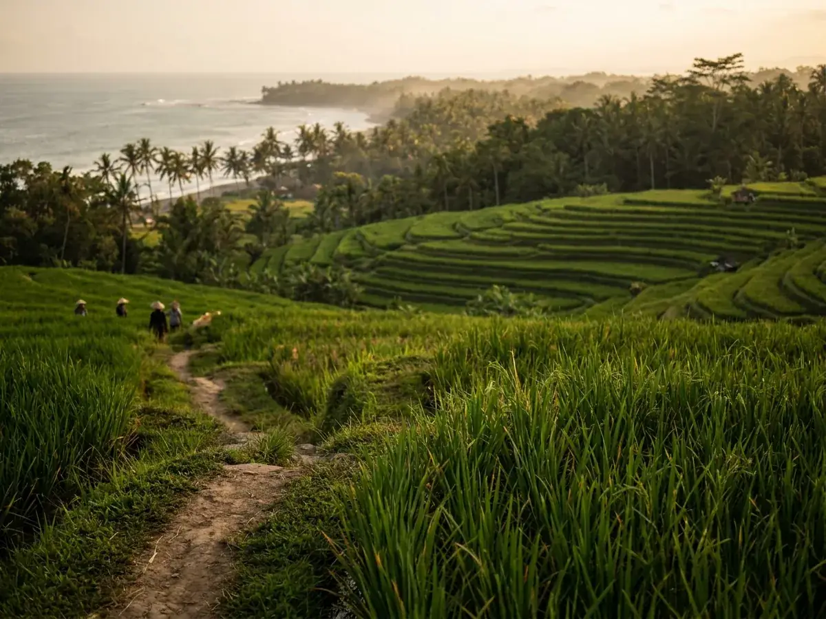 Canggu: Stadtteil-Guide — infografika tema