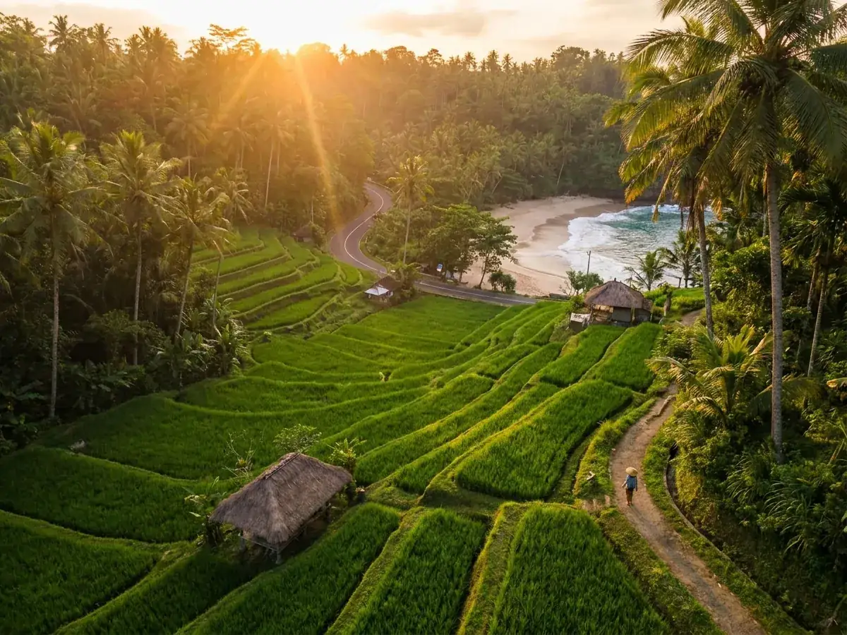 Canggu: Stadtteil-Guide — pejzazh bali