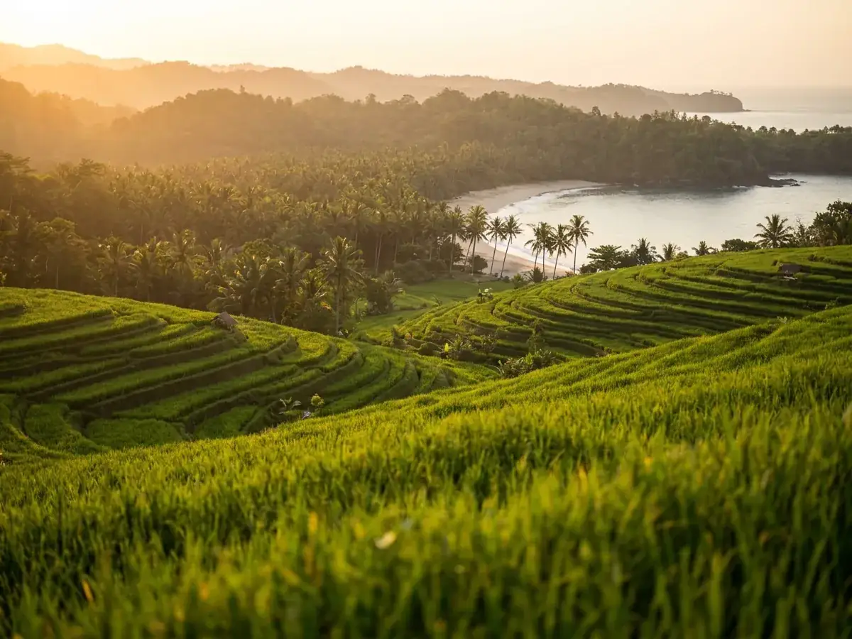 Canggu: Stadtteil-Guide — primer foto