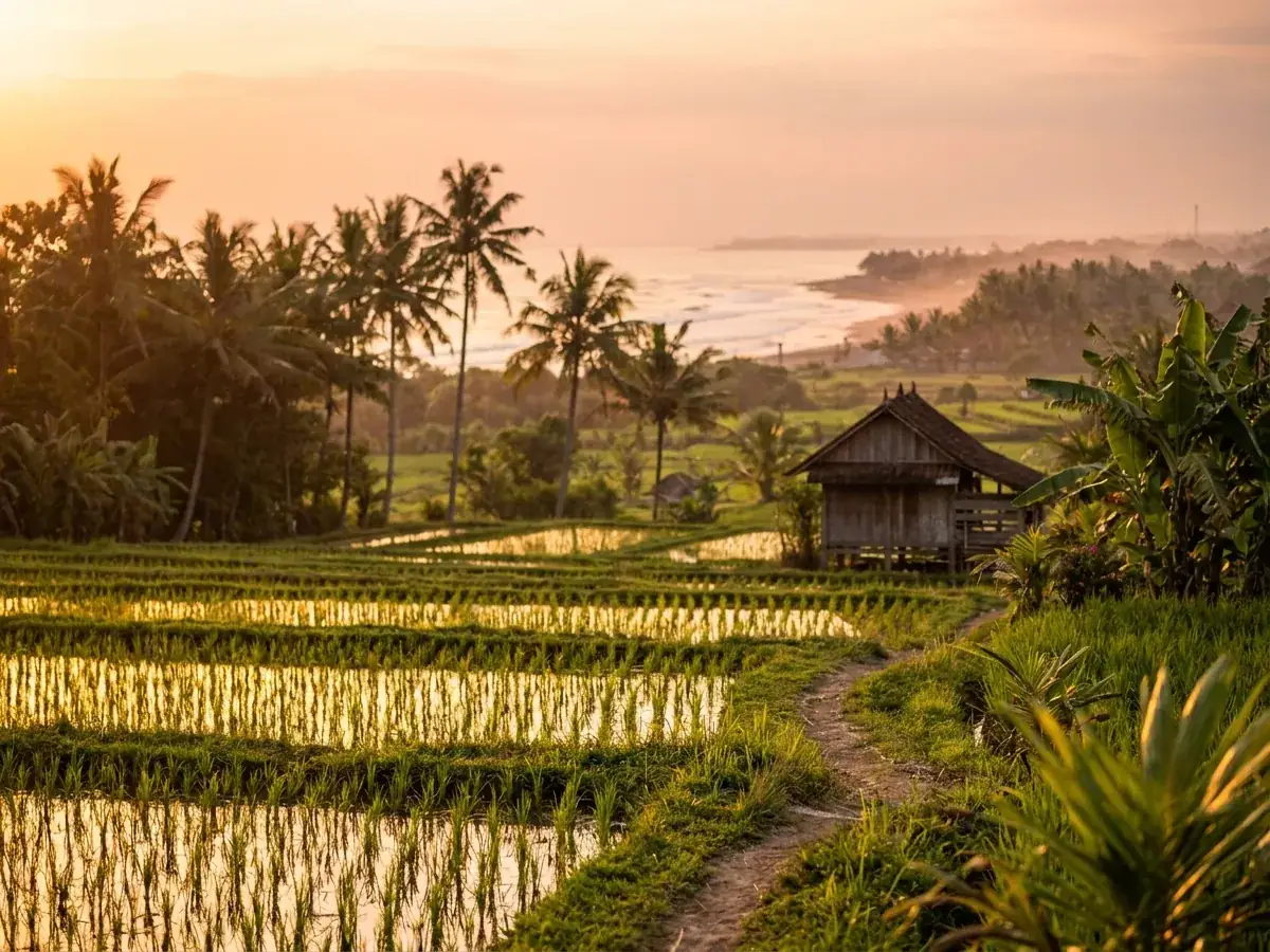 Canggu: Stadtteil-Guide — tipichnyj kadr