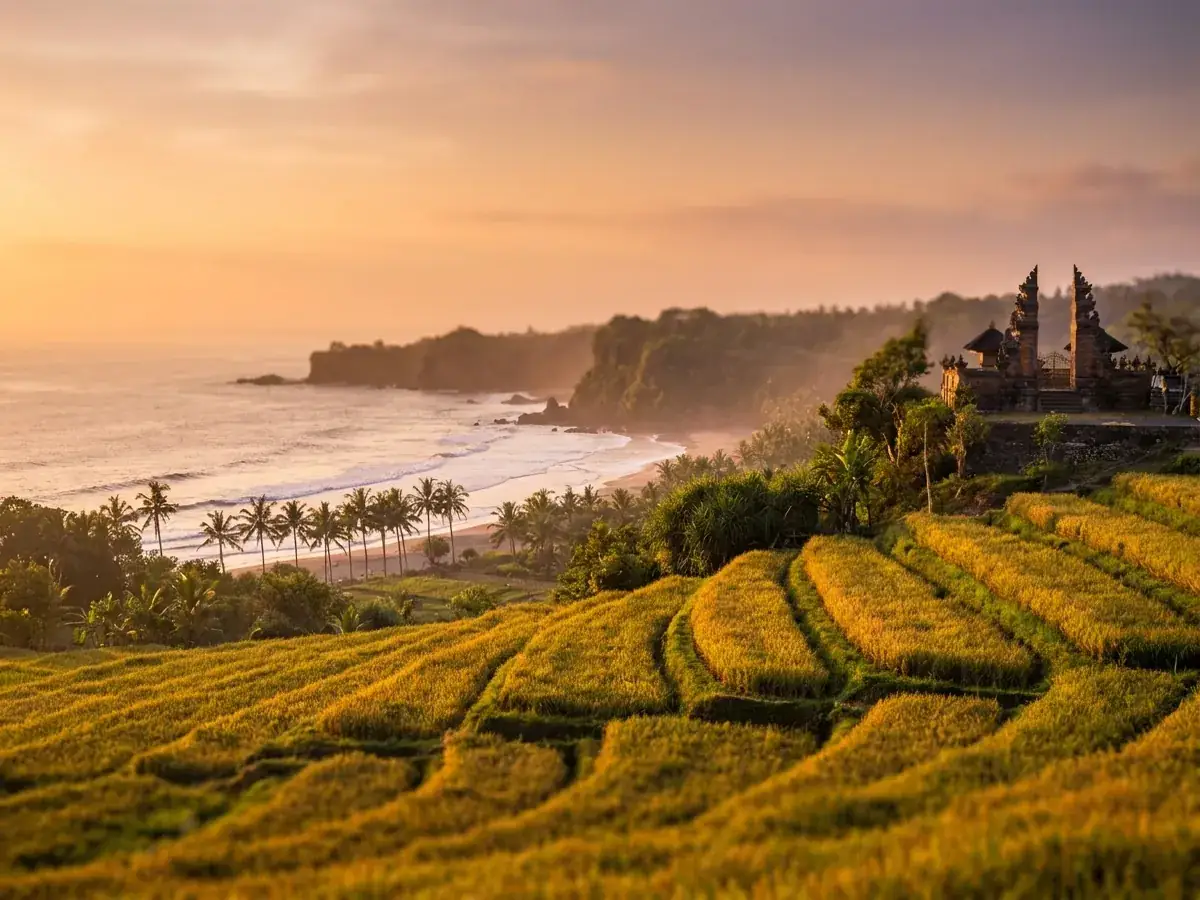 Best beaches in Bali for ceremonies and photo shoots — infografika tema