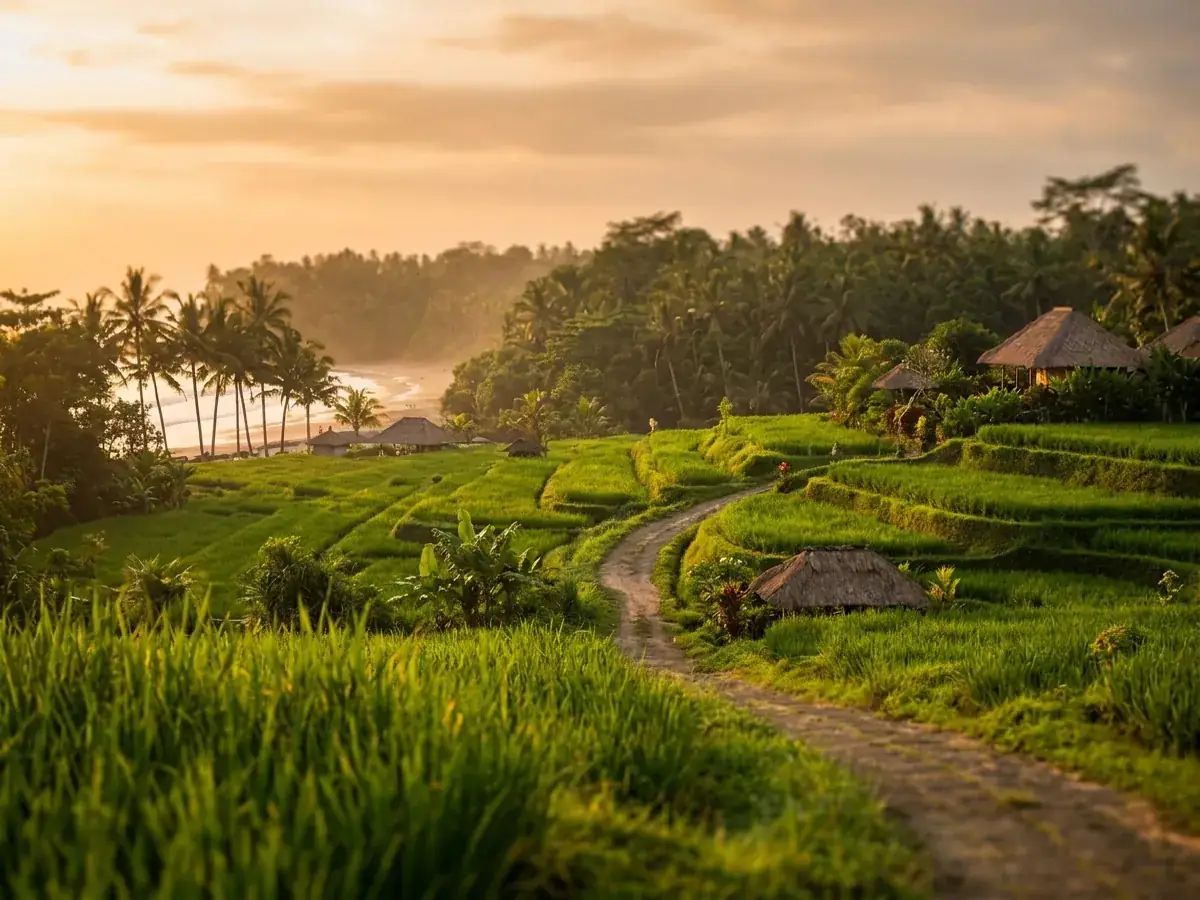 Seasons and weather in Bali: when to go — infografika tema