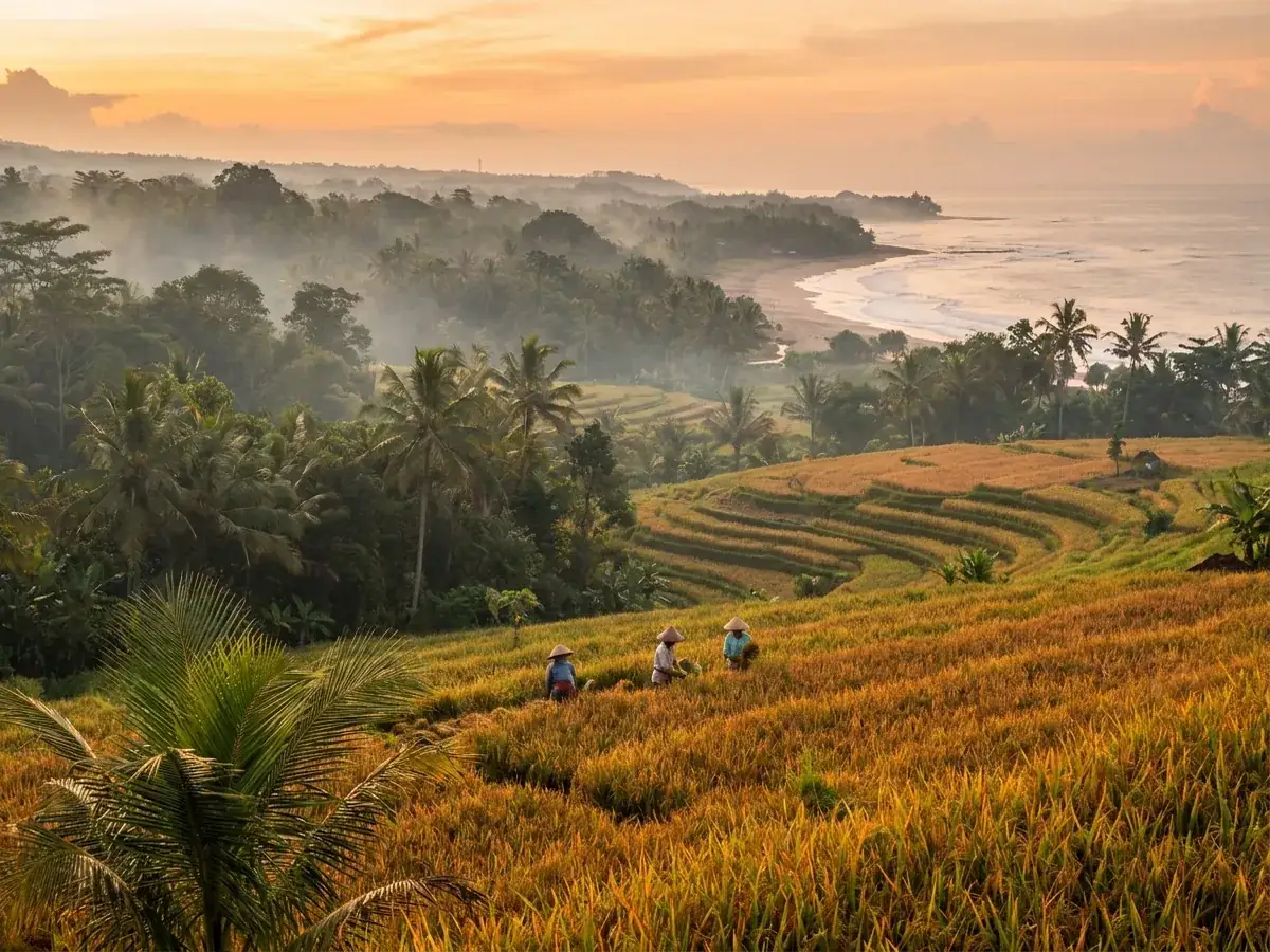 Seasons and weather in Bali: when to go — pejzazh bali