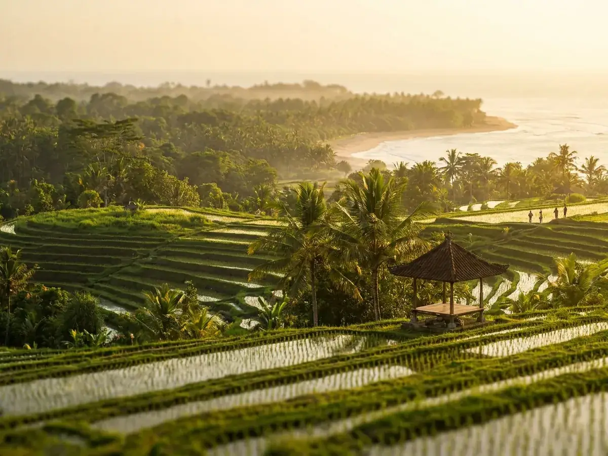 How much does a wedding in Bali cost in 2026 — pejzazh bali