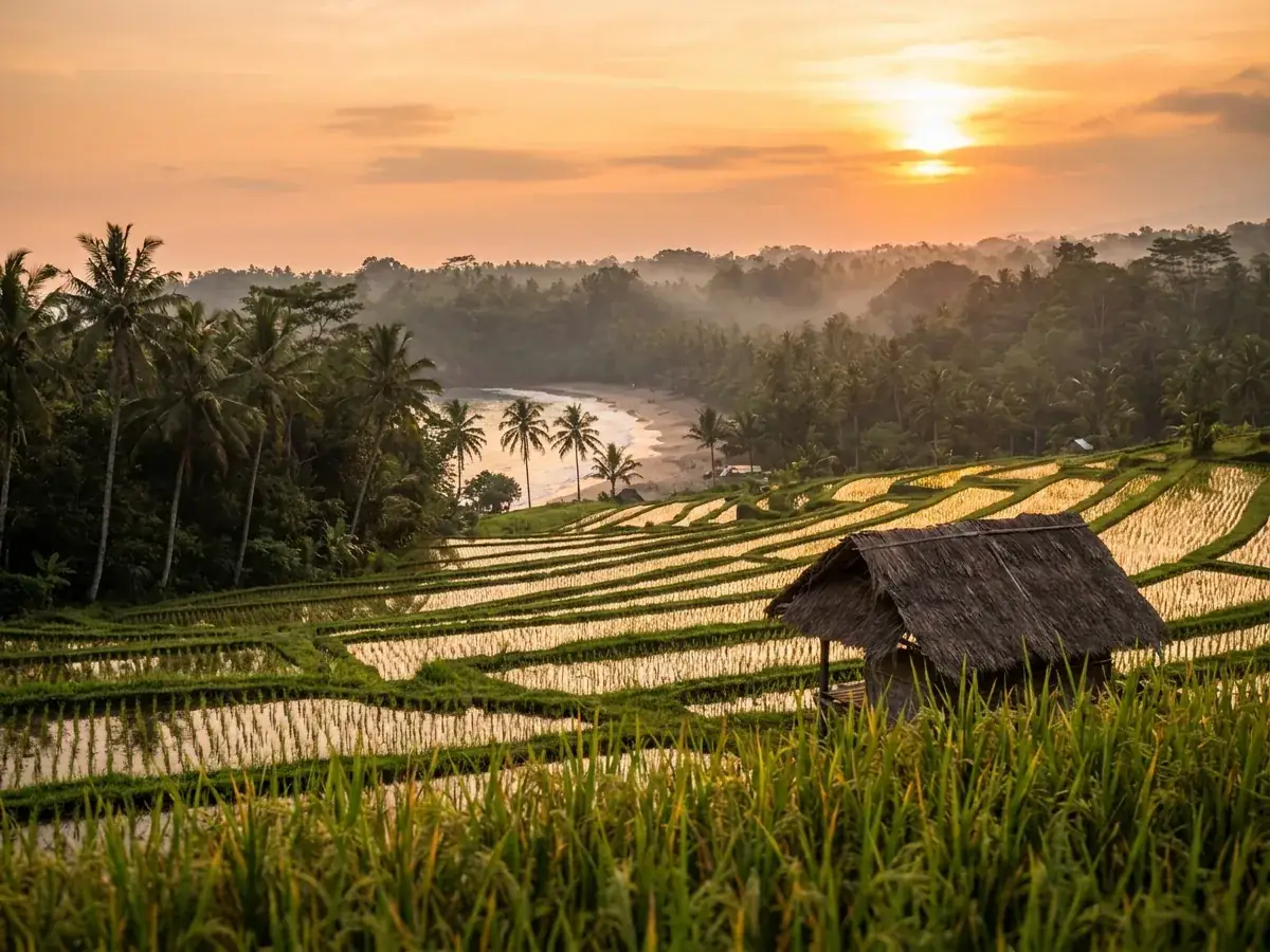 How much does a wedding in Bali cost in 2026 — primer foto
