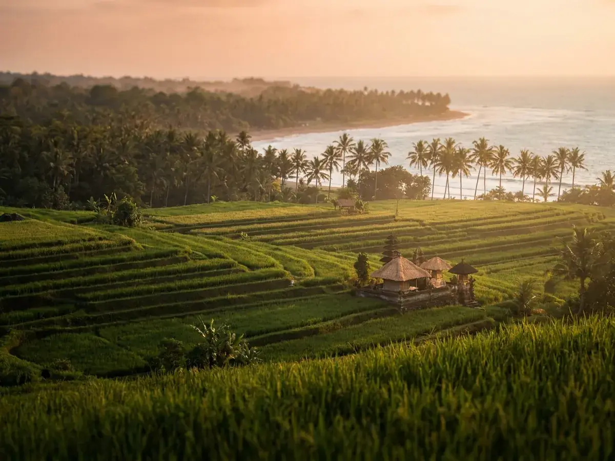 Balinesische Hochzeitstraditionen — pejzazh bali