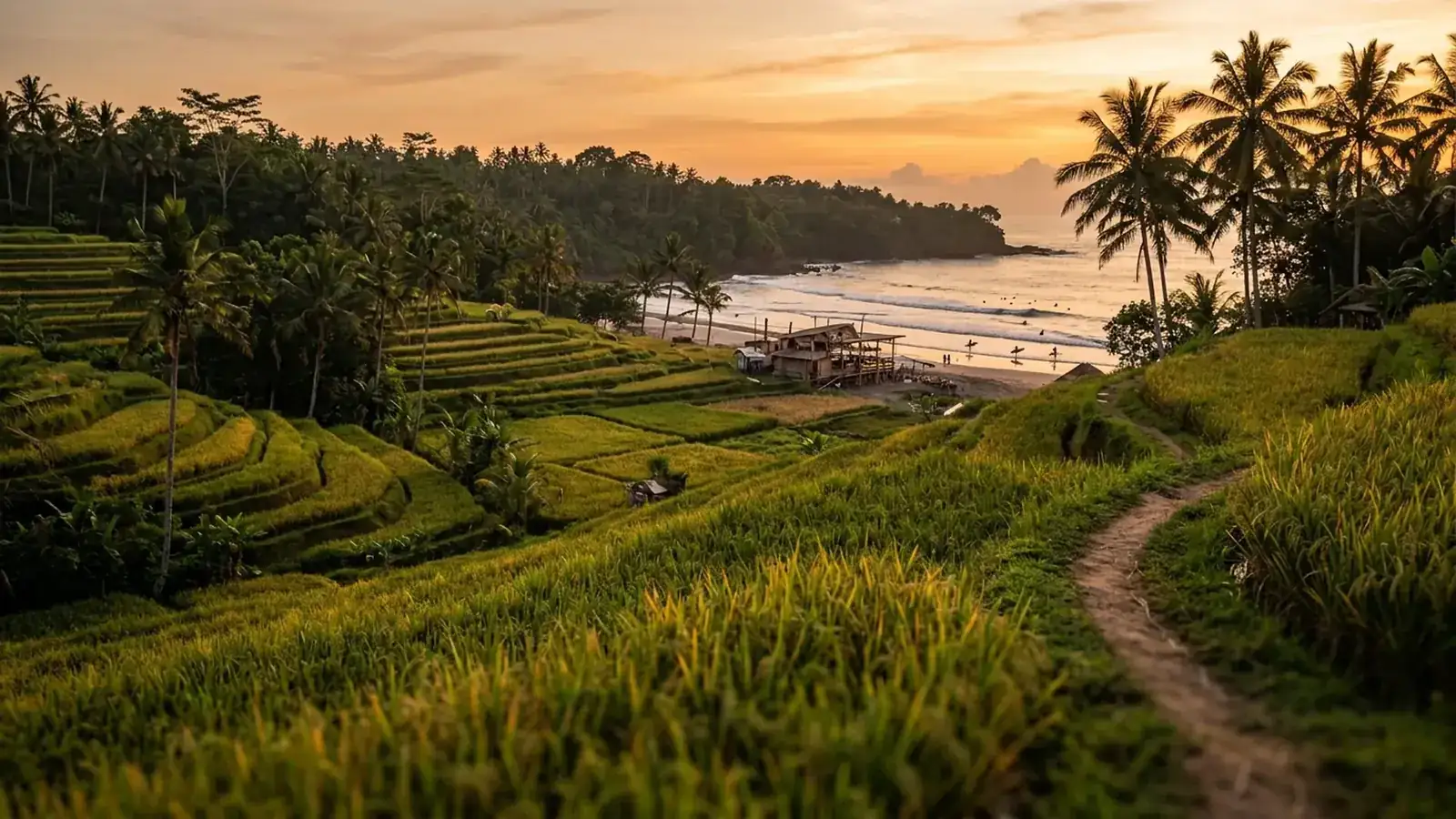 Canggu-Guide — Beachclub und Surfen